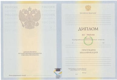 Диплом МСГИ 2010-2011 годов