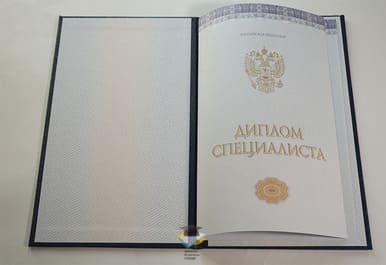 Диплом МПГУ 2014-2020 годов